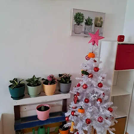 Habitacion Con Bano Privado En Piso Compartido Kwatera prywatna