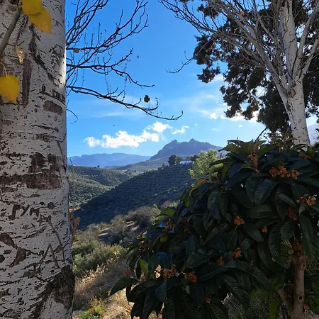 Homestay Con Bano Privado Cerca De La Catedral En Zona Con Aparcamiento Gratis Jaen