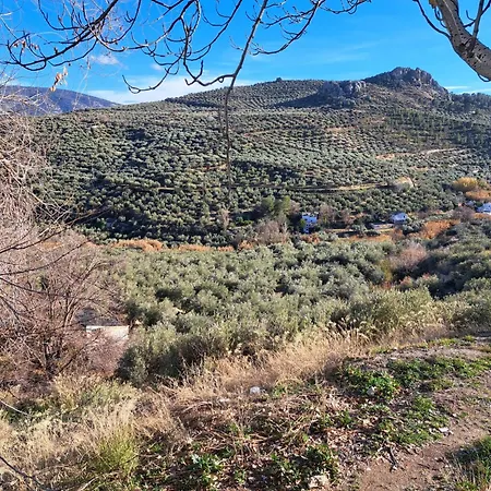 Con Bano Privado Cerca De La Catedral En Zona Con Aparcamiento Gratis Homestay